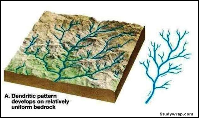 Dendritic or Pinnate Drainage Pattern, Types of Drainage Patterns