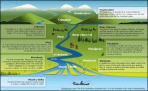 Drainage System - Types of Drainage Patterns - Study Wrap