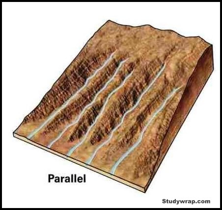 Parallel Drainage Pattern, Types of Drainage Patterns