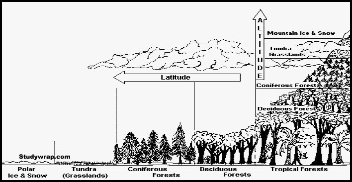 Factors influencing natural vegetation, Natural vegetation 
