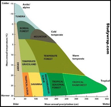 Natural Vegetation of India, Soil affecting natural vegetation, Factors effecting Natural vegetation