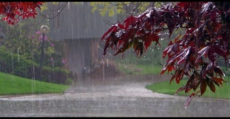 Monsoon Season of India
