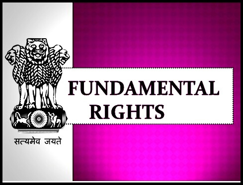 Fundamental Rights in the Indian Constitution, Fundamental Rights, Indian Fundamental Rights, Notes on Indian Polity, Studywrap.com