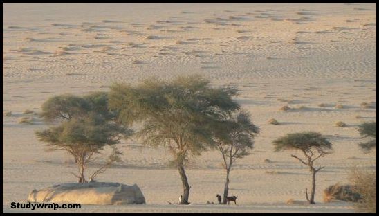 Desertification, effects of Desertification, Problems of Indian Soils, Soil Erosion