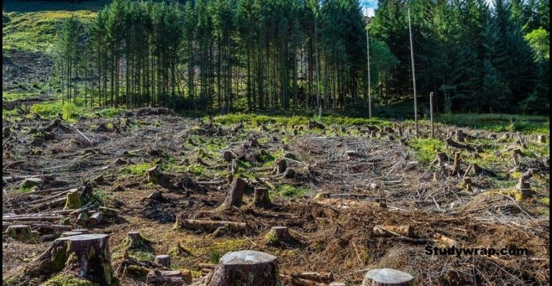 deforestation, problems of Indian Soils, Indian Soil complete notes