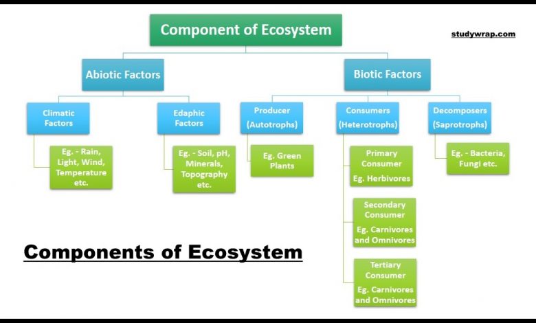 Component of Environment, Components of Ecosystem, Abiotic Components, Light, Temperature, Atmosphere, Rainfall, Biotic Components, Producers, Consumers etc, Complete notes on Environment and Ecology Click Here.....