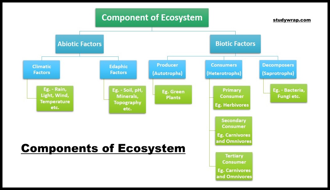 Component of Environment, Components of Ecosystem, Abiotic Components, Light, Temperature, Atmosphere, Rainfall, Biotic Components, Producers, Consumers etc, Complete notes on Environment and Ecology Click Here.....