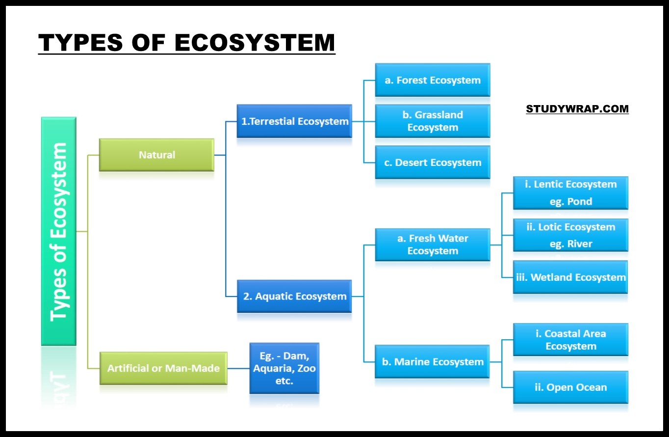 Environment, Defination, Ecosystem, Importance of Ecosystem, Ecotones, Importance and Characteristic of Ecotones, Niche, Habitat, Complete Environment Notes