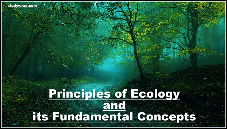 Principles of Ecology, Basic Concept of Ecology & Environment, Adaptation, Mutation, Speciation, Evolution, Extinction, etc. Fundamental Concepts of Ecology, Complete Notes on Environment and Ecology for All Competitive Exams for Free...Click Here