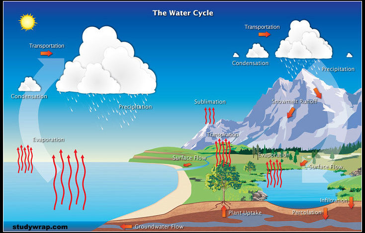 Biogeochemical Cycles, Nutrient Cycles, Carbon Cycle, Nitrogen cycle, Water Cycle, Sulphur Cycle, Phosphorus Cycle, All important Nutrient Cycles mechanism..