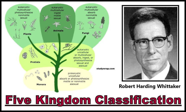 Five Kingdom Classification, Kingdom Monera, Kingdom Protista, Kingdom Fungi, Kingdom Plantae, Kingdom Animalia, General Characterstics Notes