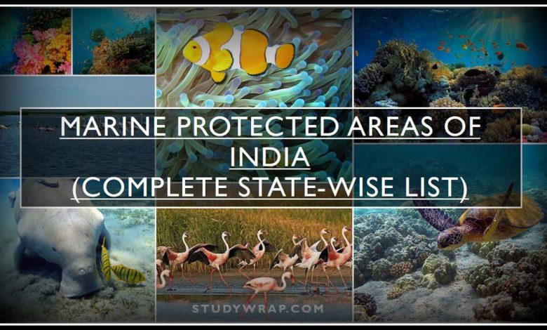 What is Marine Protected Areas?, importance of Marine Protected Areas in India, Complete State-wise List of Marine Protected Areas in India, studywrap.com