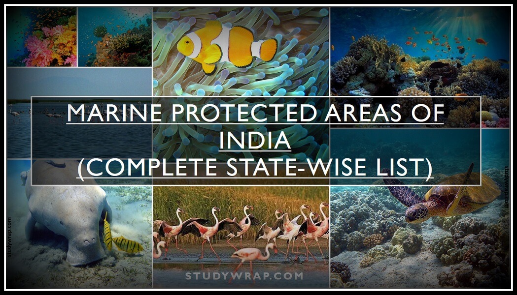 What is Marine Protected Areas?, importance of Marine Protected Areas in India, Complete State-wise List of Marine Protected Areas in India, studywrap.com