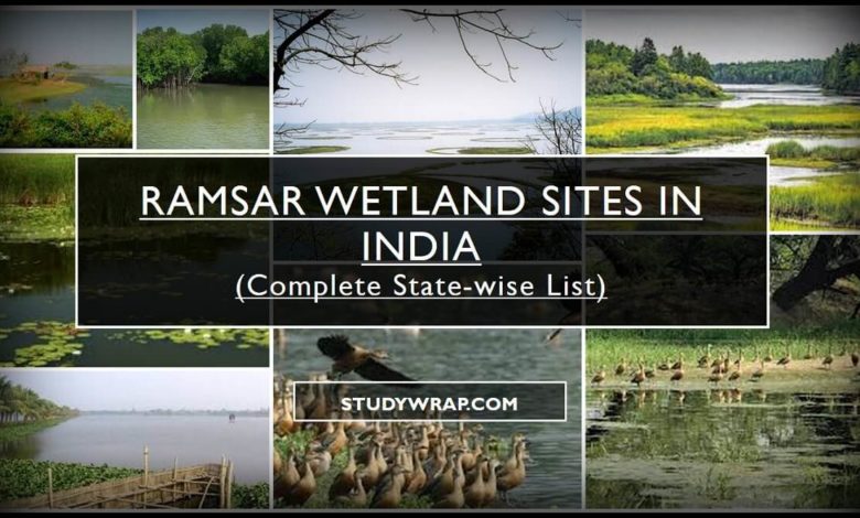 What is Wetlands?, Importance, Ramsar Wetland Sites in India, Wetlands in India, List of Ramsar Wetlands in India, Interesting Facts....
