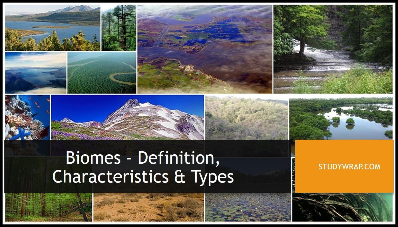 Biomes - Definition, Characteristics and Types, Terrestrial Ecosystem, Aquatic Ecosystem, Types of Terrestrial and Aquatic Biomes... Environment and Ecology Notes by Studywrap.com