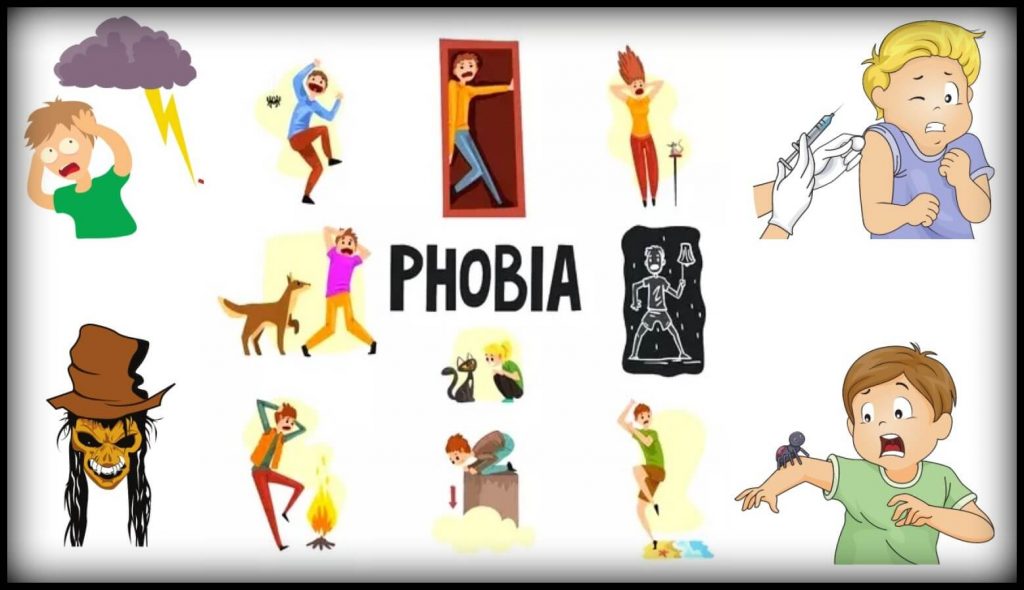 List Of Various Kinds Of Phobias Study Wrap   List Of Various Kinds Of Phobias 1024x590 