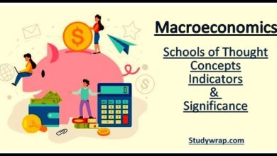 Macroeconomics - Concepts, Indicators & Significance, Macroeconomic Schools of Thought, How Does the Government Influence the Macro economy?